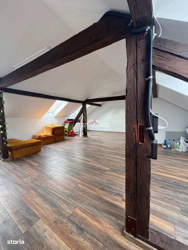 NECTORA IMOB-Spatiu comercial P+M, Ultracentral, Zona Piața Ferdinand-5