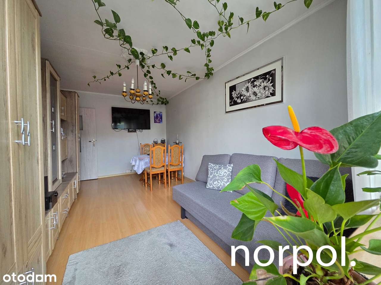 3 niezależne pokoje, osobna kuchnia, łazienka, toaleta, balkon-10