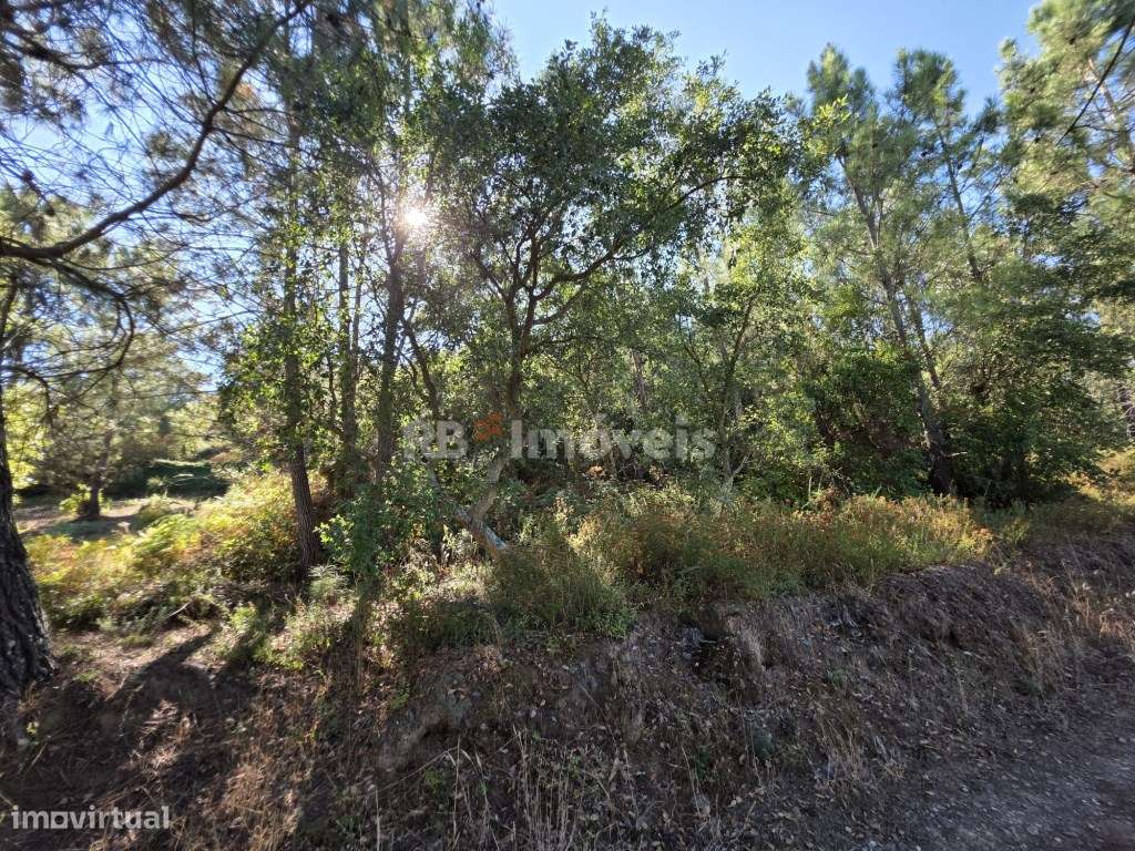 Terreno com malha urbana no centro da aldeia da Serra de Tomar - Grande imagem: 4/21