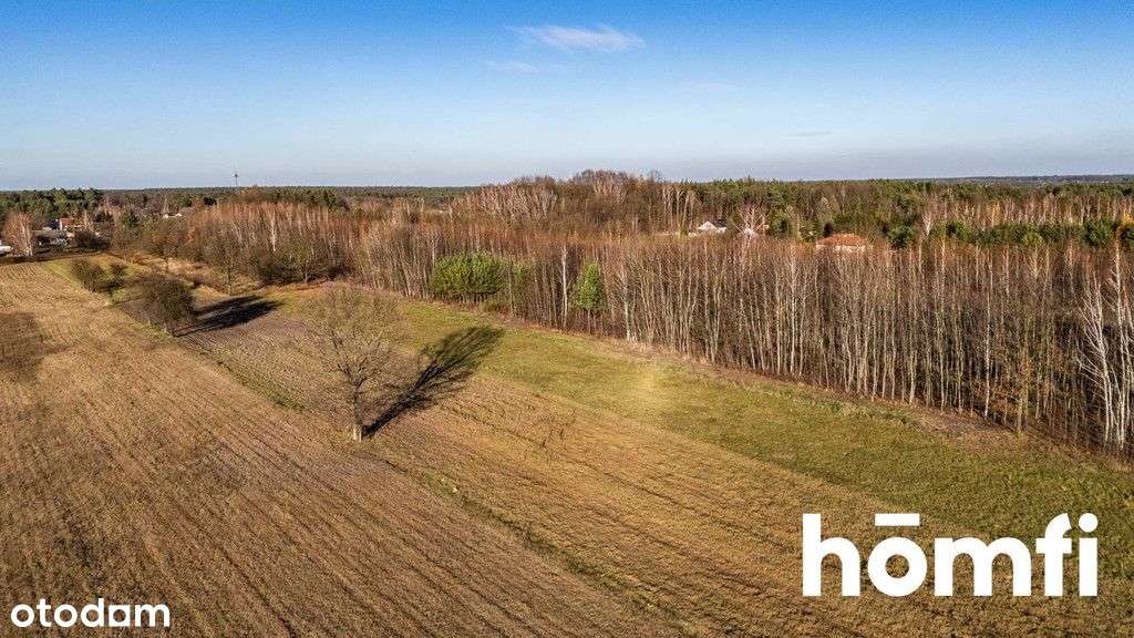 Działki w Dawidowie z Wz - otocz się ciszą - Pełny obrazek: 3/9