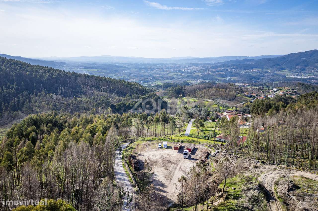 Terreno Rústico c/ 13.385 m²|Rua de Cancelos, S. J. Rei, Póvoa Lanh... - Grande imagem: 4/22