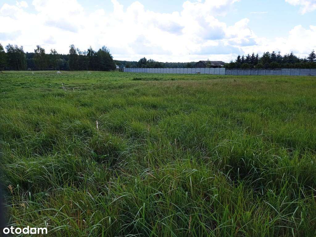 Bolesławiec koło Mosiny działka na sprzedaż 813 m2 - Pełny obrazek: 5/8