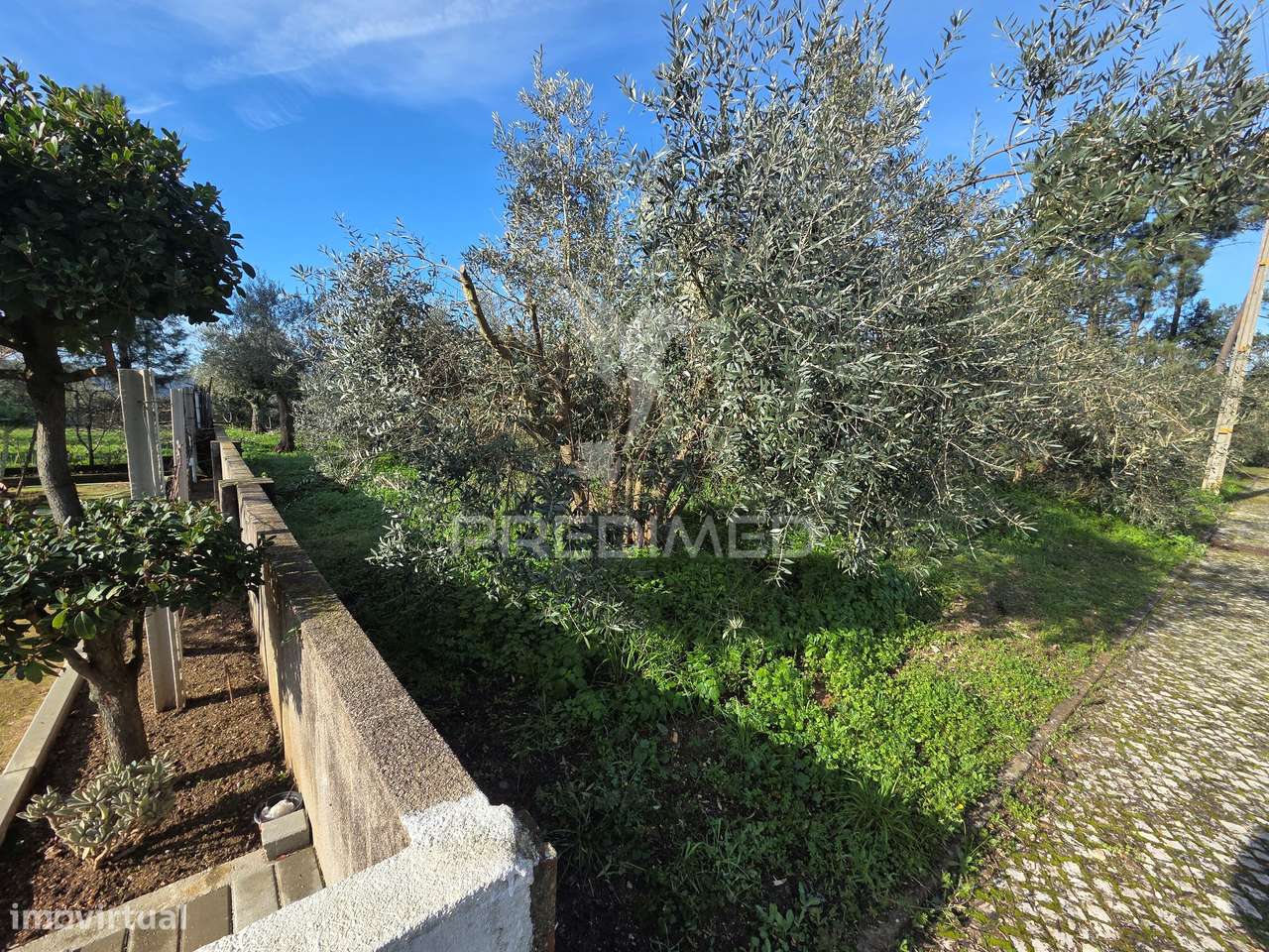 Terreno Urbano - Grande imagem: 4/17