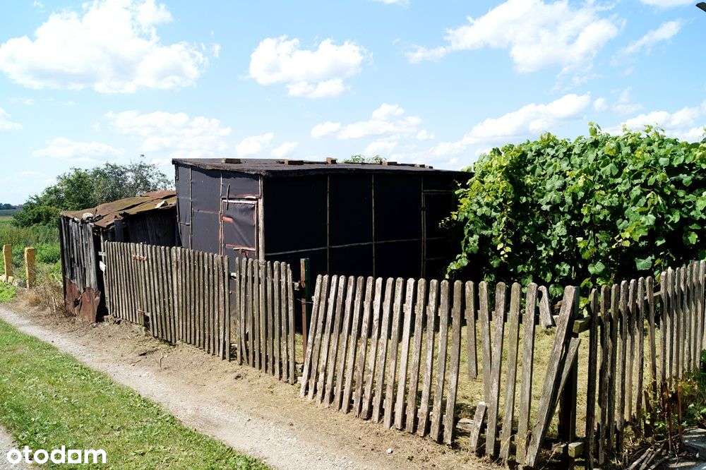 38,64m2 mieszkanie z ogródkiem / 2 km od Rojewa / 12 km od Inowrocław-2