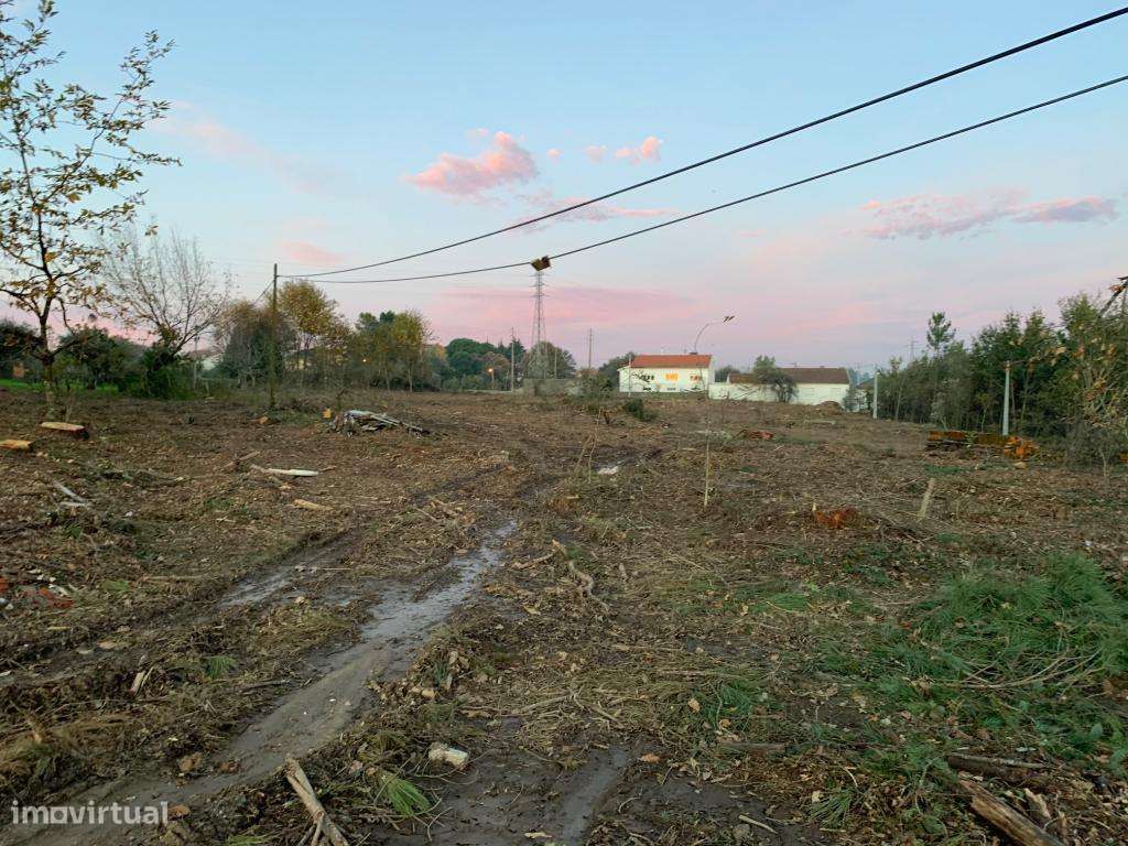 Quinta - Viseu - Grande imagem: 2/5