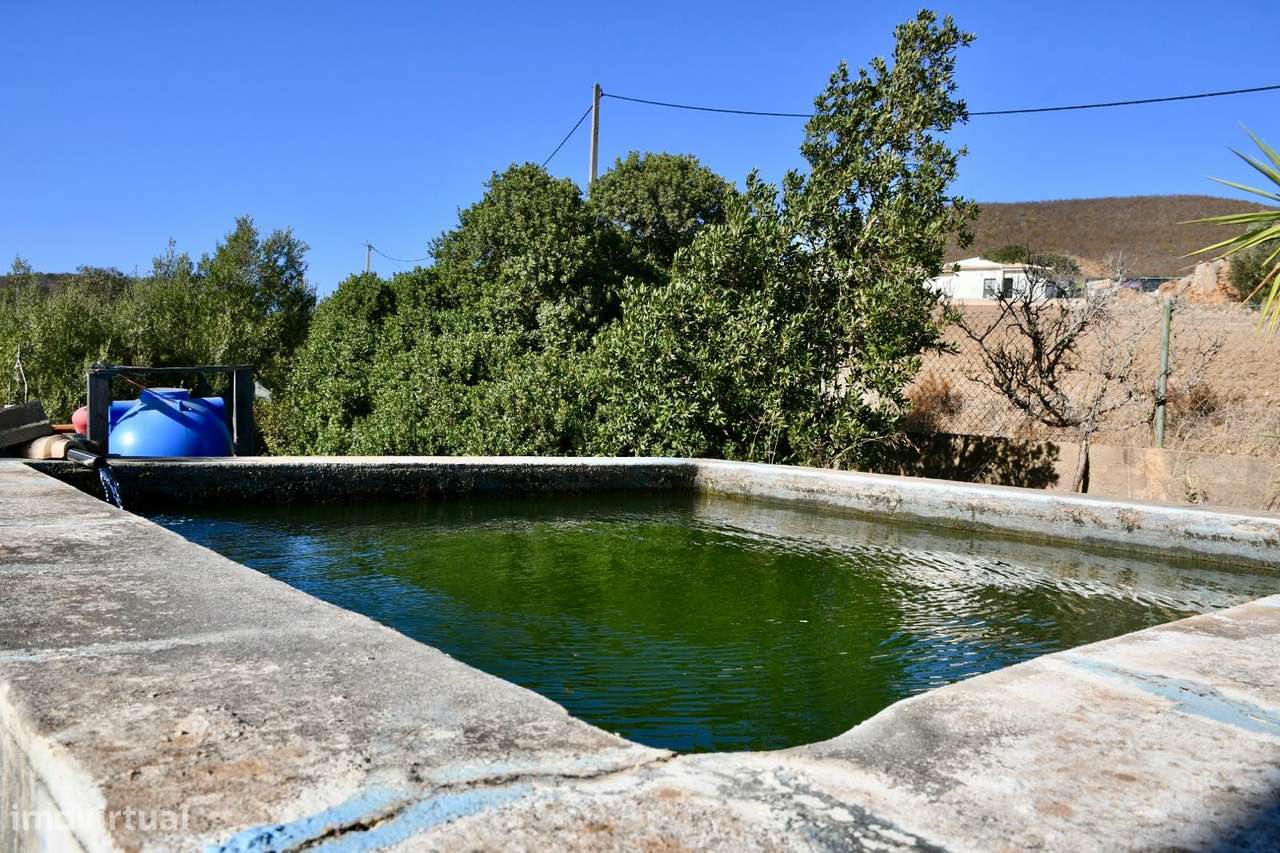 Quinta com moradia V3 na Mexilhoeira Grande-15