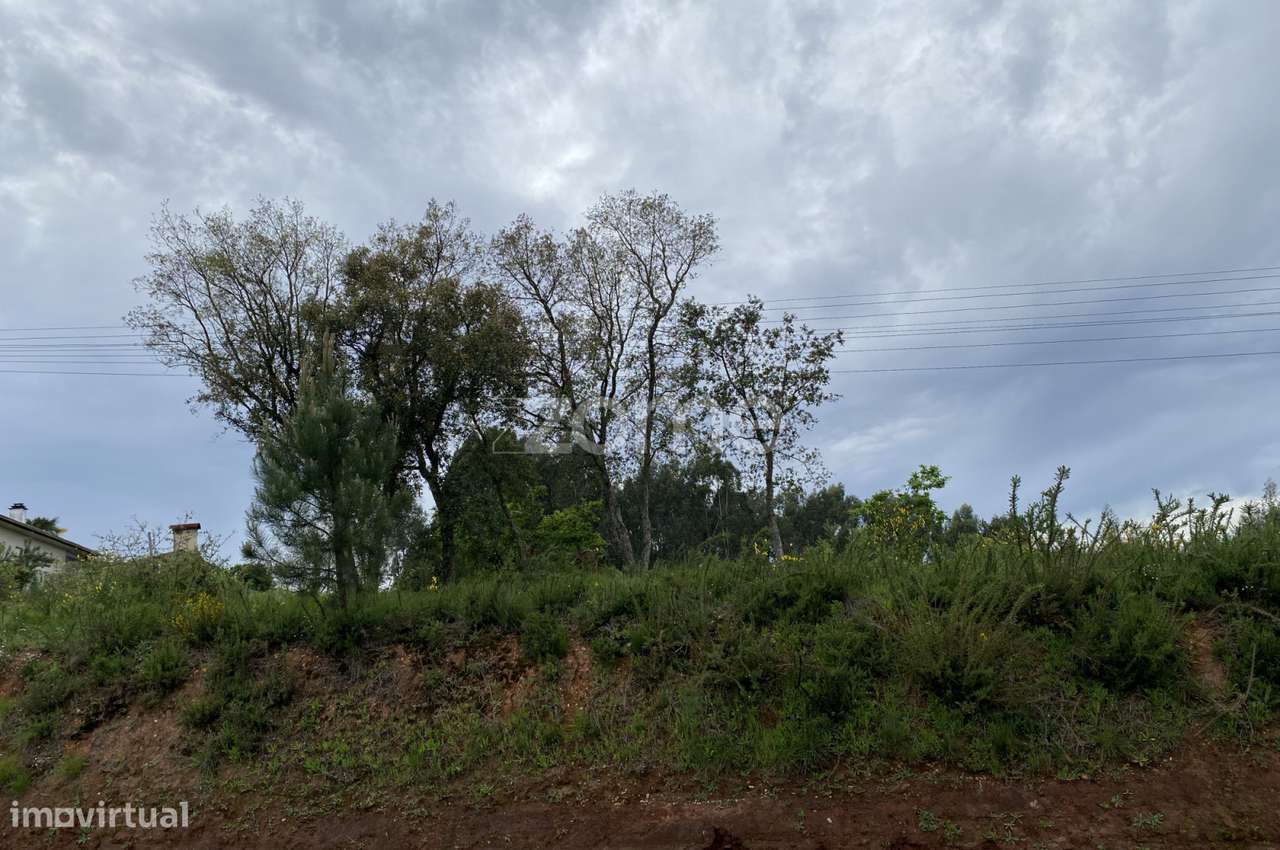 Terreno para Construção | Com 8800m2 - Grande imagem: 4/22