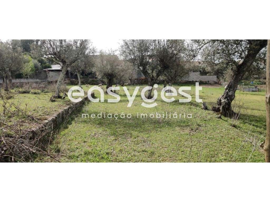 Terreno Rústico com viabilidade de construção e com projeto aprovado. - Grande imagem: 3/40