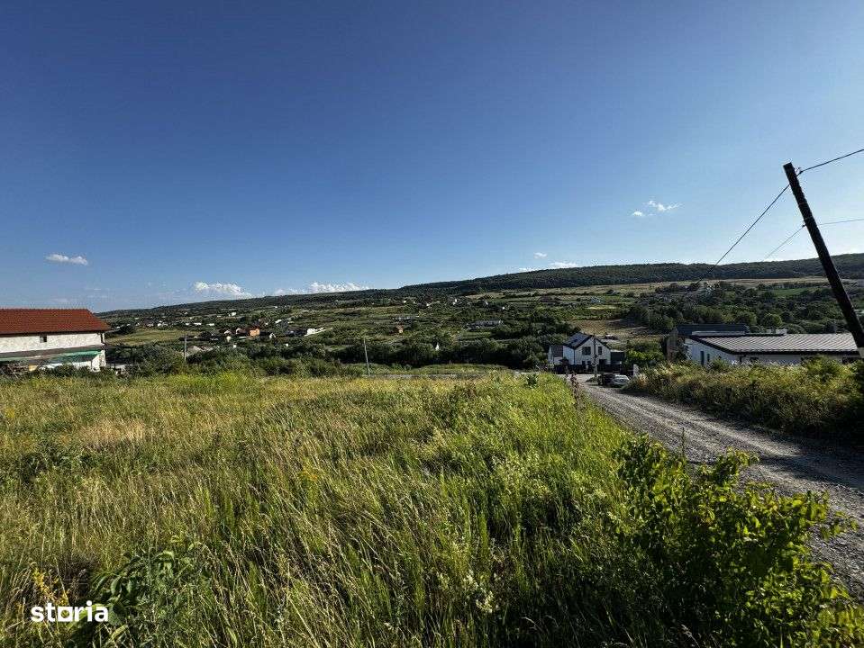 Teren in Chinteni, Muntii Oasului, 1000 mp, front de 36 ml - Imagine principală: 1/8