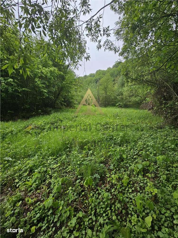 TEREN  PENTRU BUSSINESS 2842 MP DE VANZARE IN STATIUNEA  TARGU OCNA - Imagine principală: 1/10