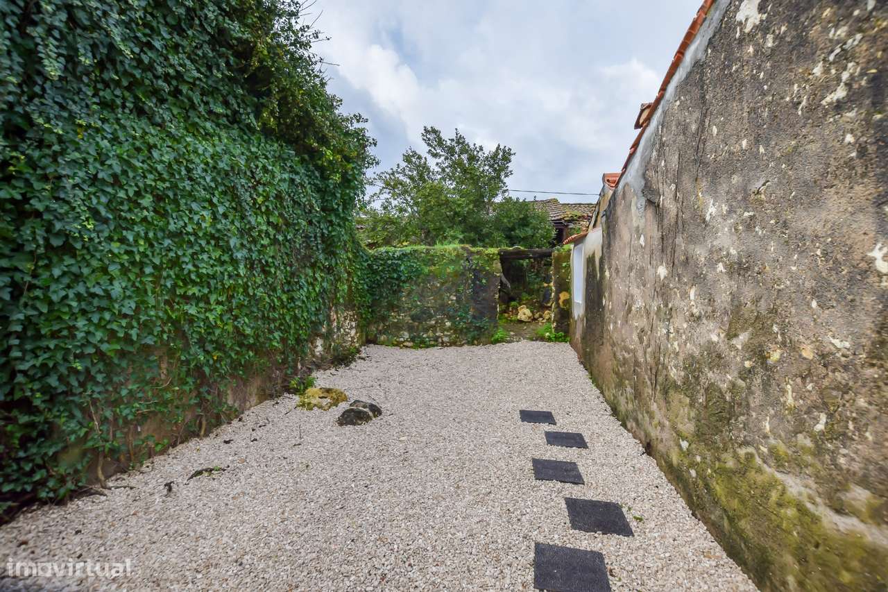 Moradia T3 + 1 Renovada + Garagem + Moradia em ruinas e diversos anexo-21