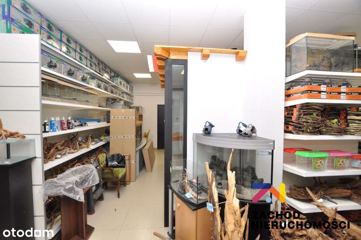 Lokal do wynajęcia Jędrzychów - Pełny obrazek: 5/10