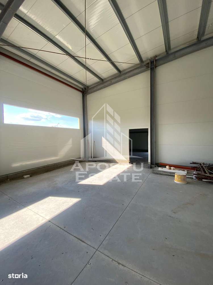 Hala noua de inchiriat 550 mp, birouri, parcare, Sacalaz. - Imagine principală: 4/12