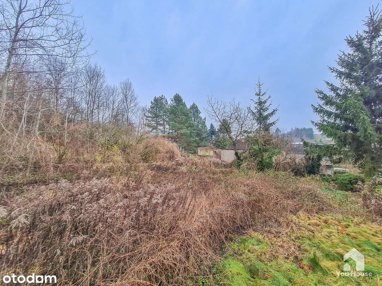 Dom z budynkiem gospodarczym - Nowe Miasto Lubawskie-18