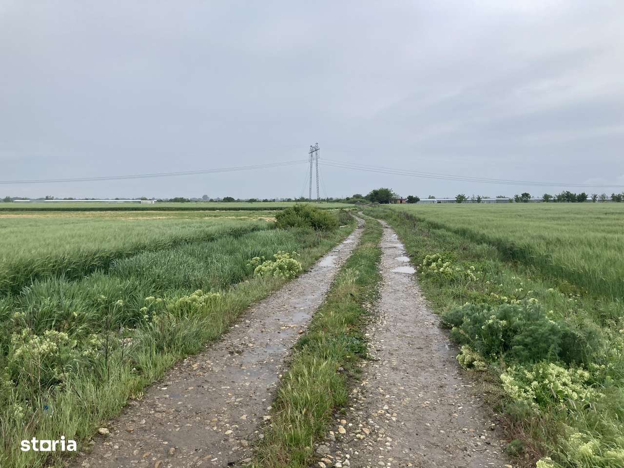 Teren, 4 801 m²,  - Imagine principală: 4/4