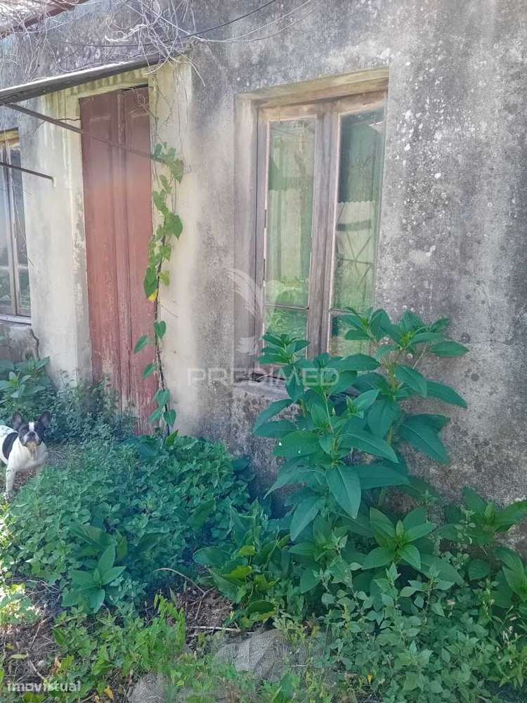 Moradia T4 em Mataduços para Restauro - Grande imagem: 5/7