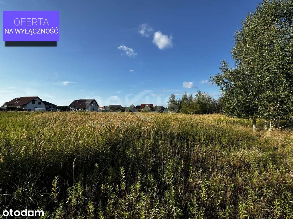 Odkryj Magię Podkowy Leśnej–Perła Nadolic Wielkich - Pełny obrazek: 4/8