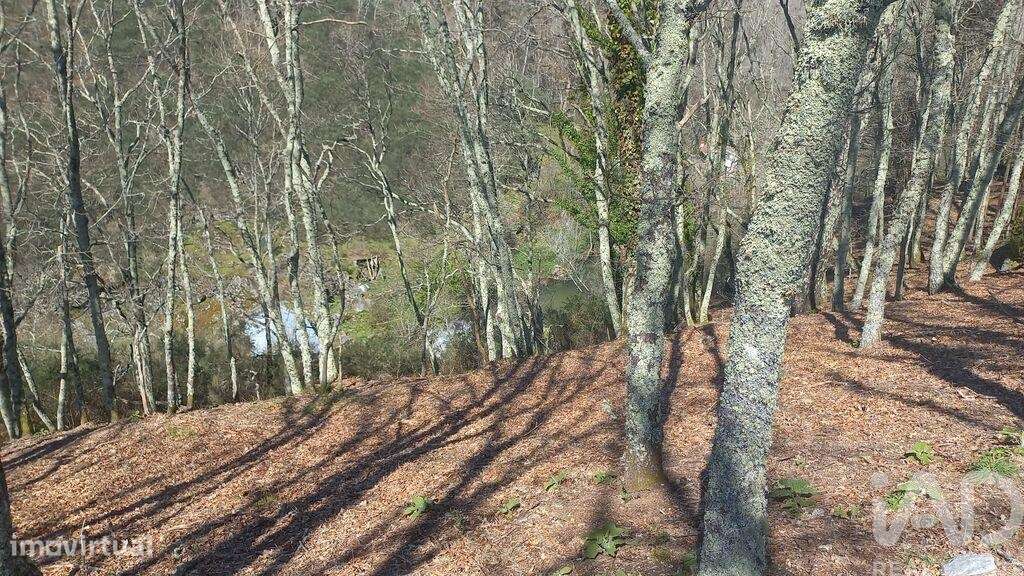 Terreno para construção em Campelo e Ovil de 1310,00 m2 - Grande imagem: 2/26