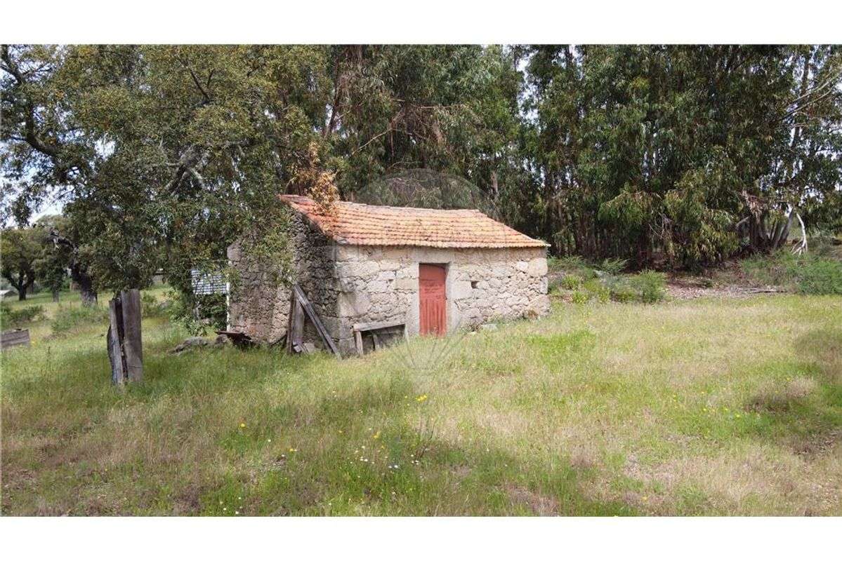 Quinta T0 para venda - Grande imagem: 2/52