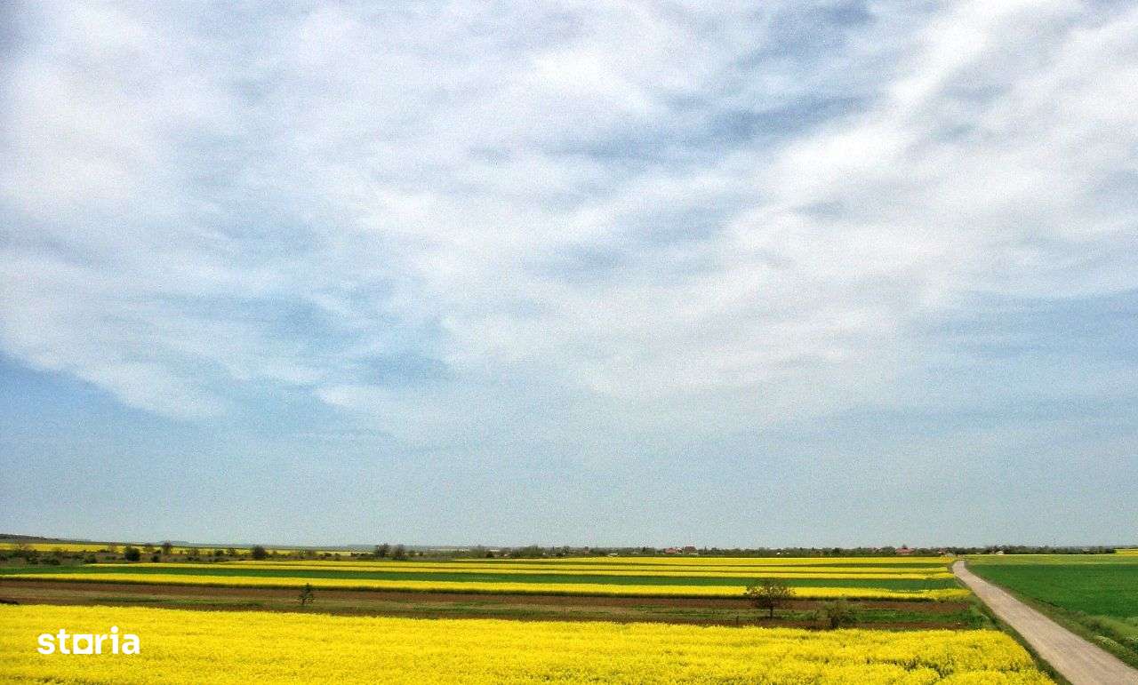 Teren intravilan. Zona Frumusani. POT & CUT foarte mari! Frumos.Natură-12