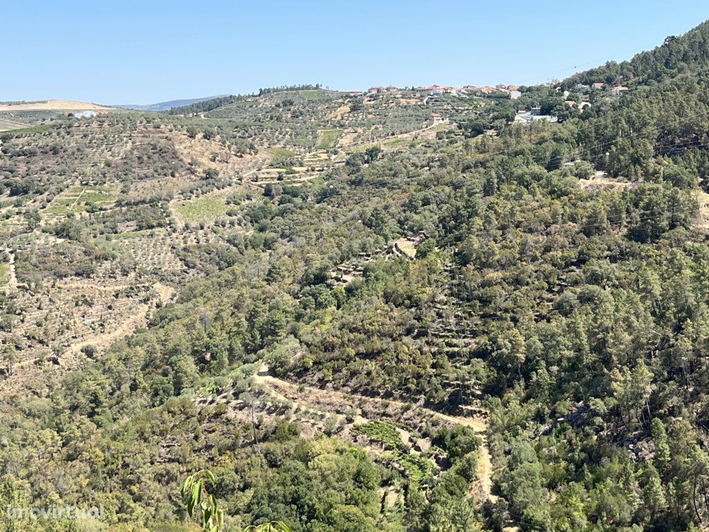 Terreno em Armamar, Vila Seca