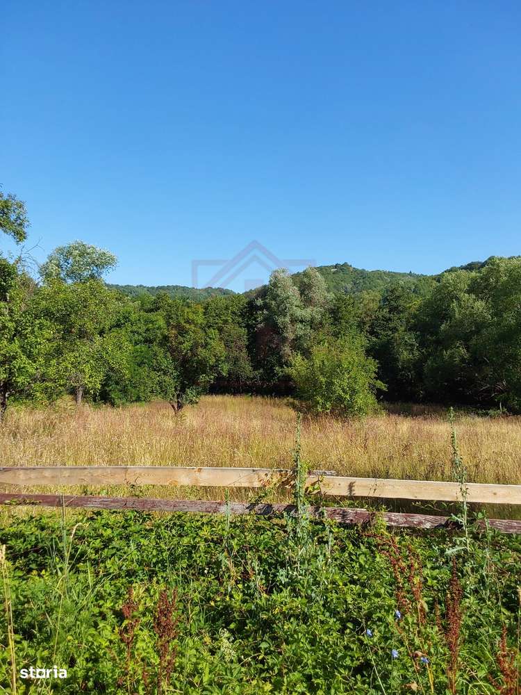 TEREN INTRAVILAN ZĂVOI\ZONA VALEA BISTREI, JUD.C-S-3