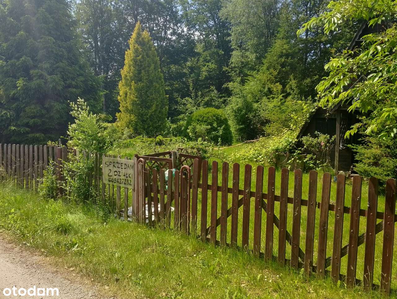 Działka ROD Olszanka gmina Przywidz