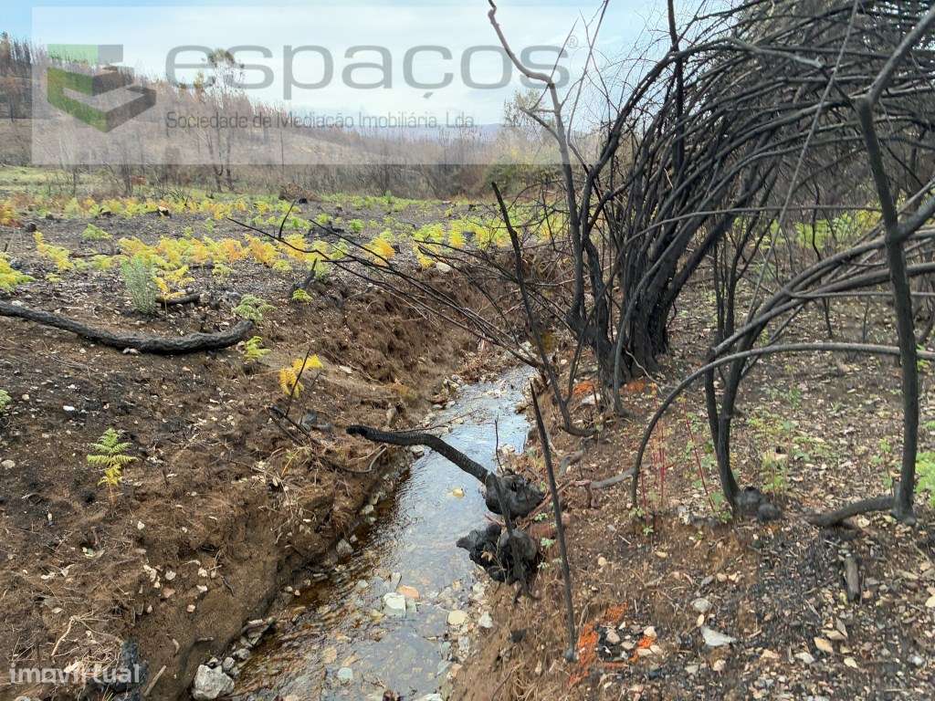 Cabeço dos Penedos - Grande imagem: 4/14