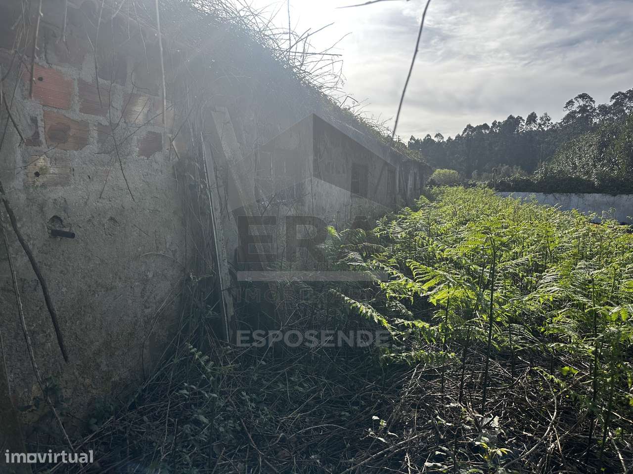 Terreno Urbano com 630m2 com edificação a concluir - Grande imagem: 5/19