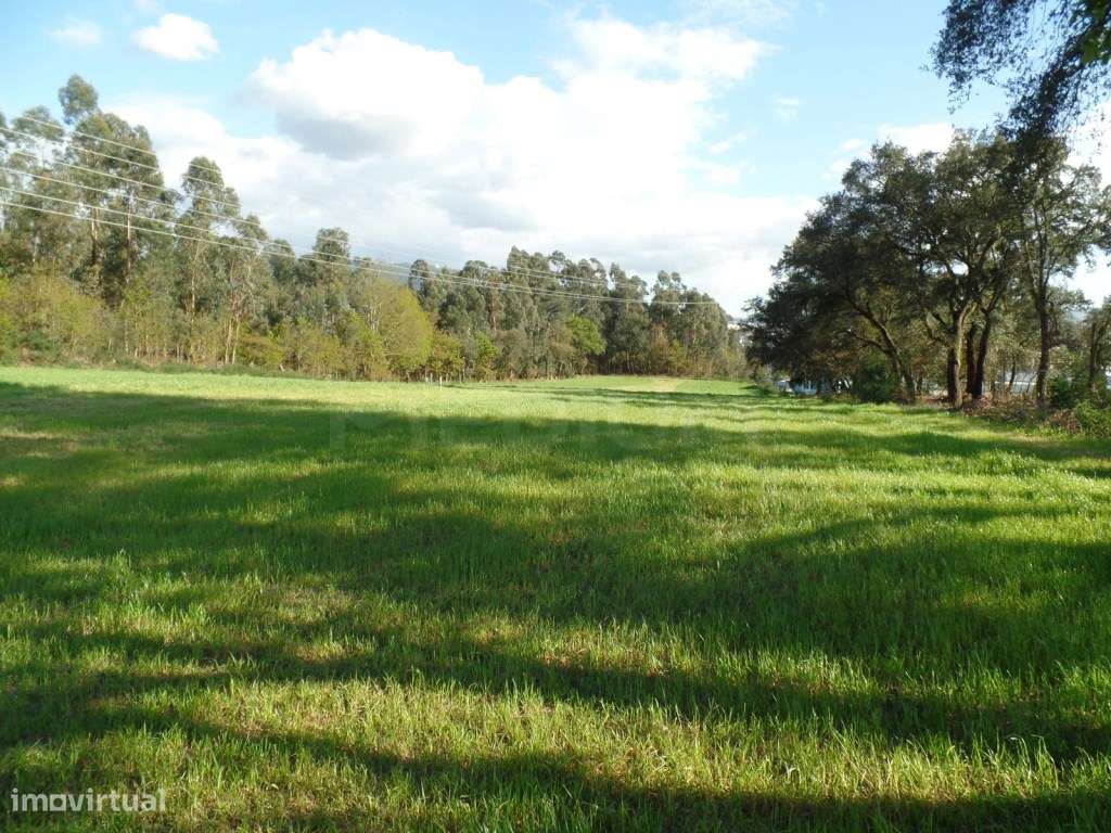 Terreno - Grande imagem: 5/7