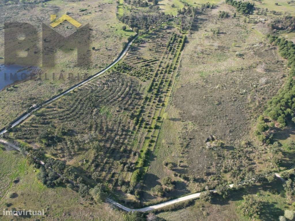 Terreno de 5,3 Hectares na Aldeia de Águas - Penamacor - Grande imagem: 2/8