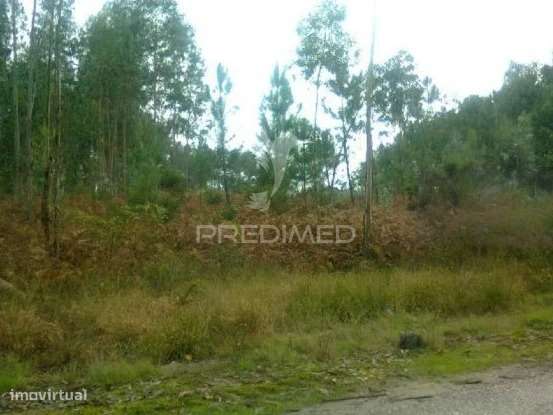 Três Lotes para construção habitacional - Grande imagem: 2/3