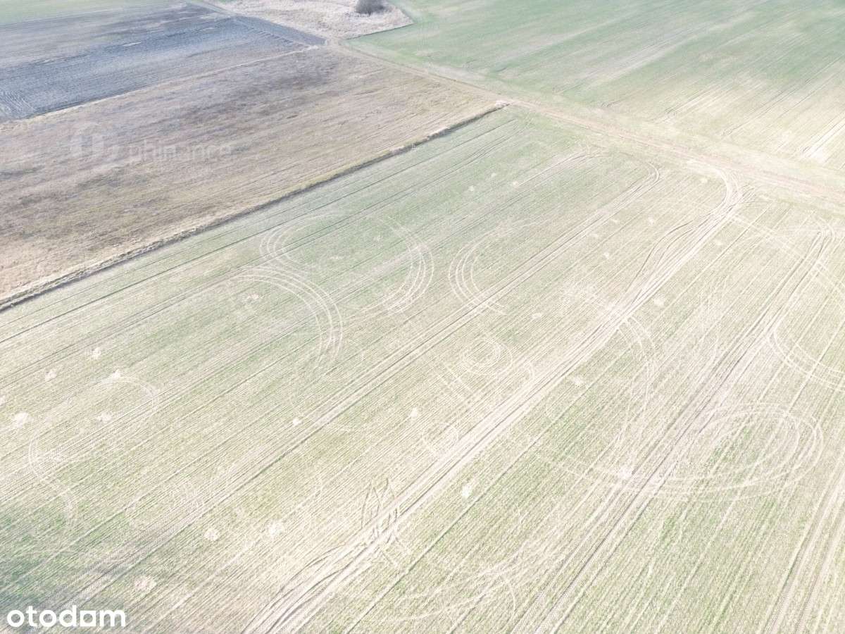 Działki budowlane na sprzedaż – Wymysłowo, Gniezno - Pełny obrazek: 4/7