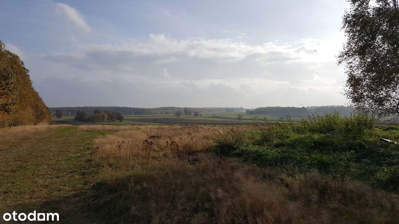 Piękna działka w Parku Krajobrazowym 10 min od Łodzi - Pełny obrazek: 5/5