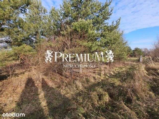 Działka budowlana w Osolinie - Pełny obrazek: 4/5