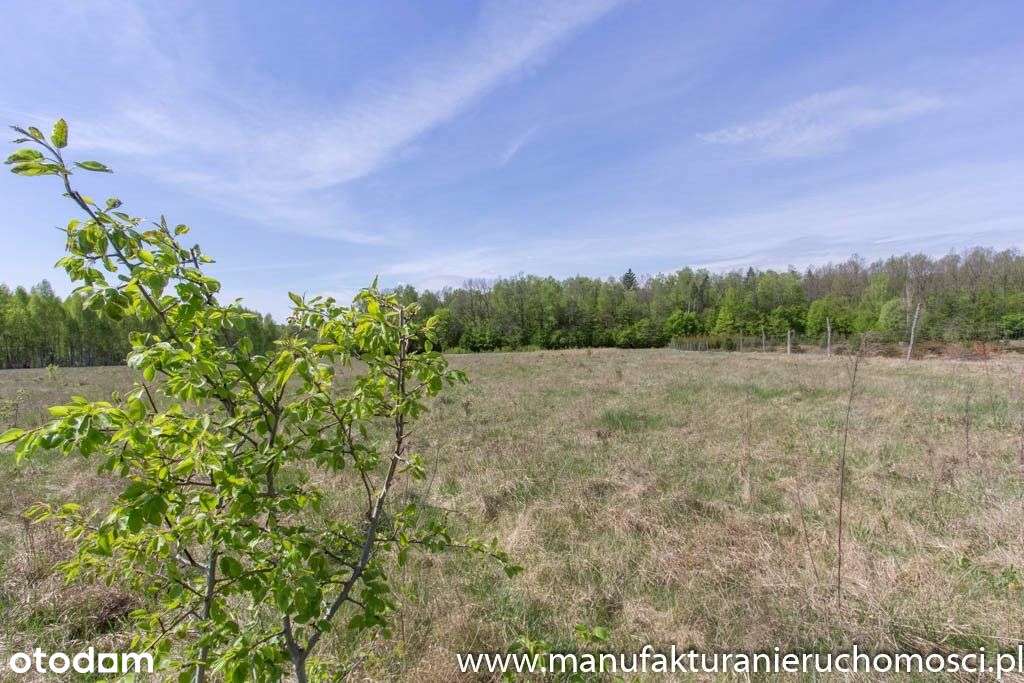 Okazja - Działki Budowlane - Pogorzelce/Białowieża - Pełny obrazek: 4/6