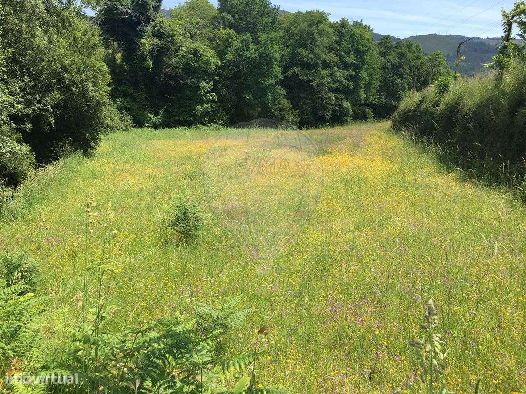 Terreno  para venda - Grande imagem: 5/7