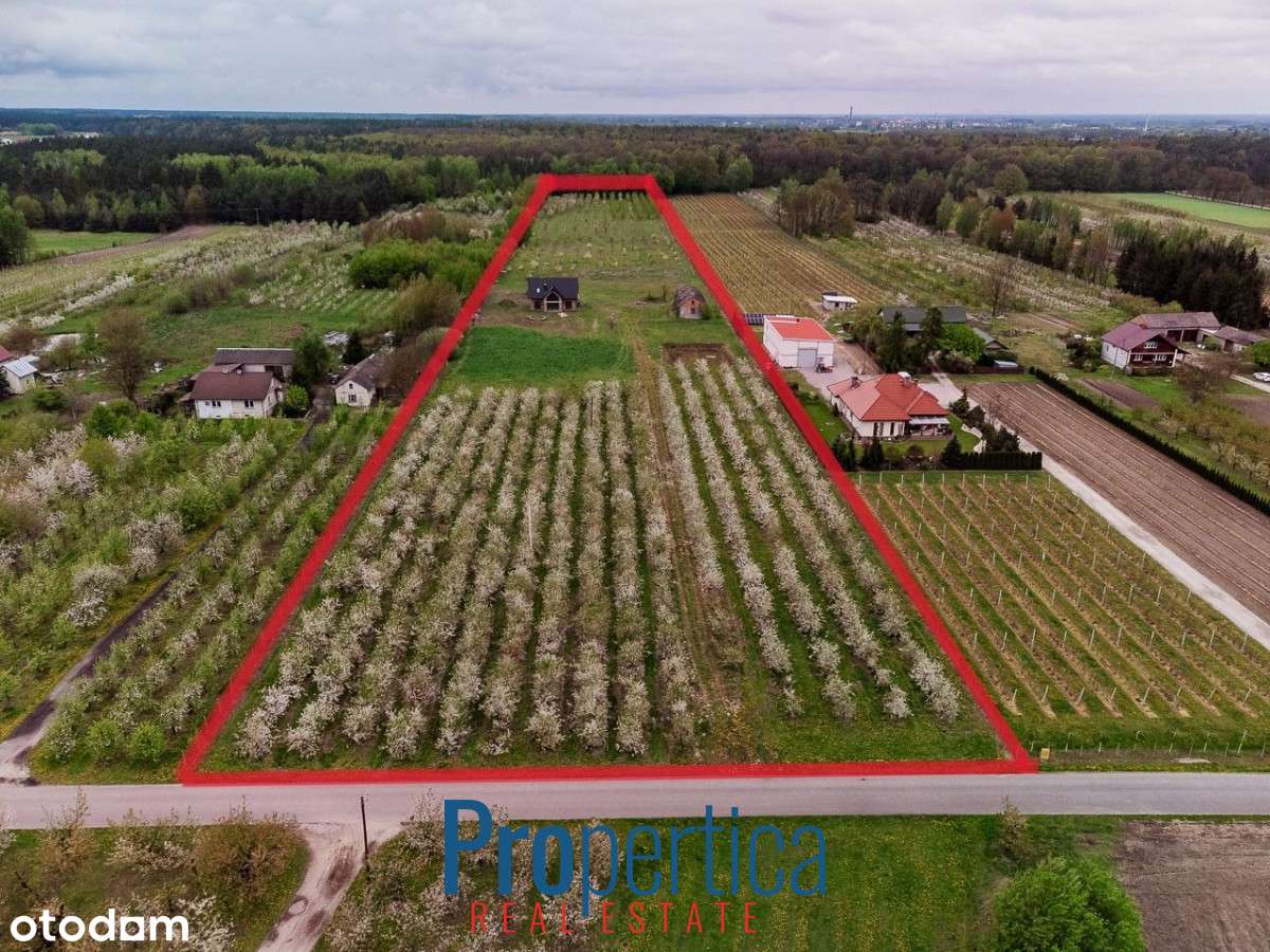 *Działka Kocerany - 4,72 ha - Blisko S7 **-0