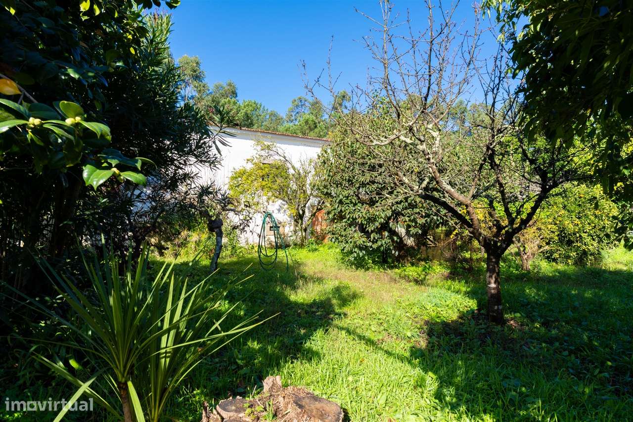 Moradia Isolada T2 Venda em Lobão, Gião, Louredo e Guisande,Santa Mari-41