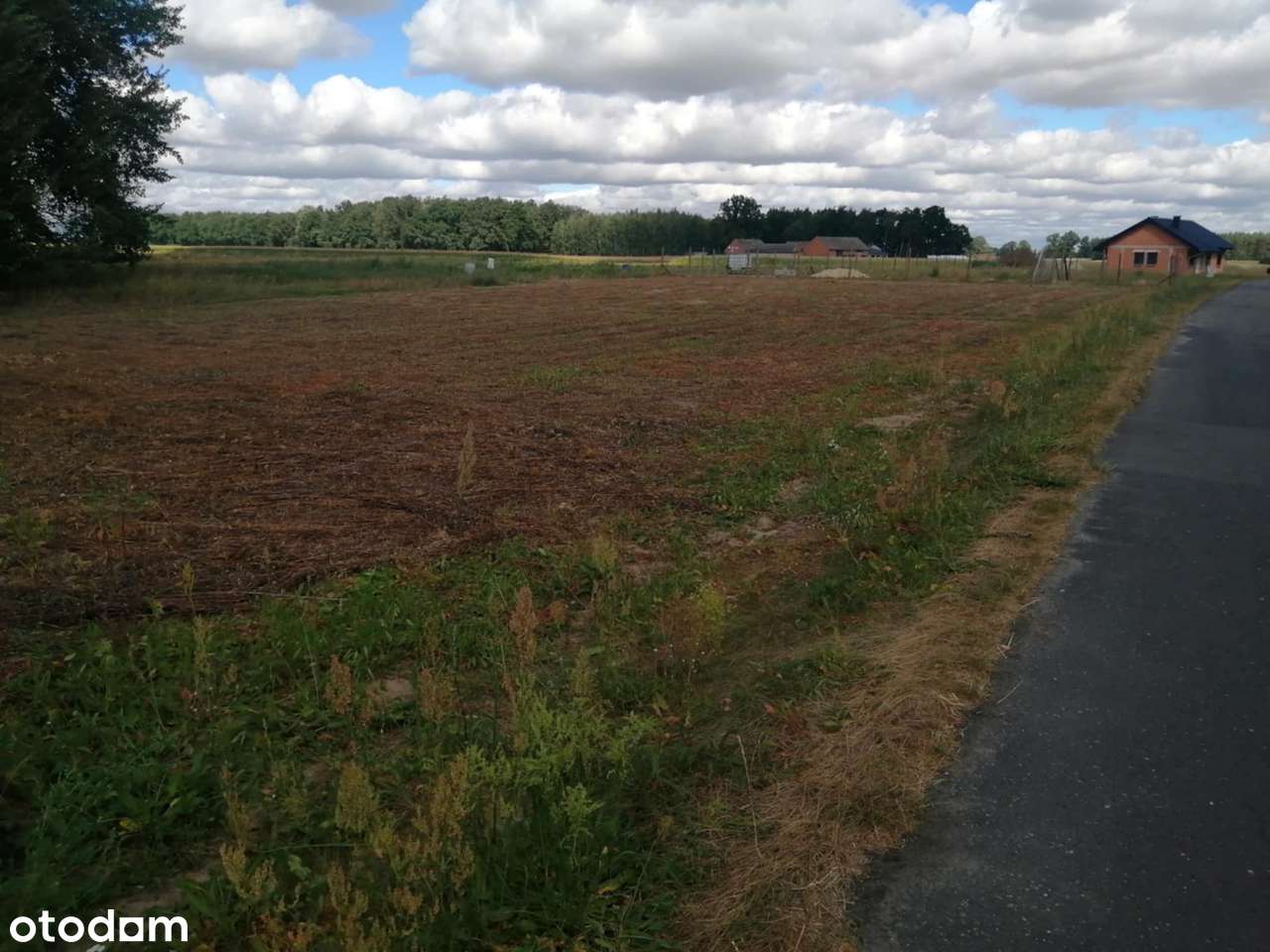 Działka 1500m² w spokojnej lokalizacji - Pełny obrazek: 4/5