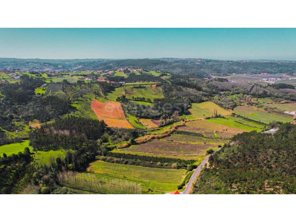 Terreno com 130000m2 destinado à agricultura no Alto da Maiorga - Grande imagem: 5/24