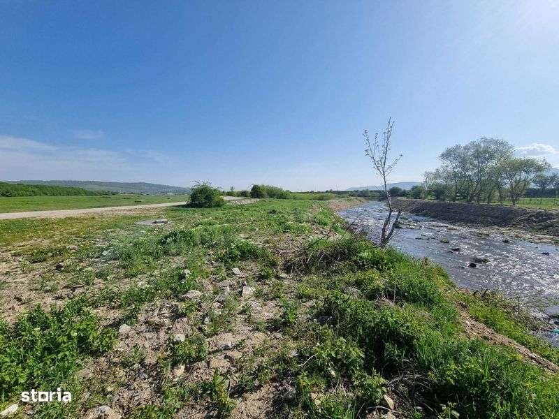 Vand Teren 5000m2 Tohanul Nou - Imagine principală: 5/8