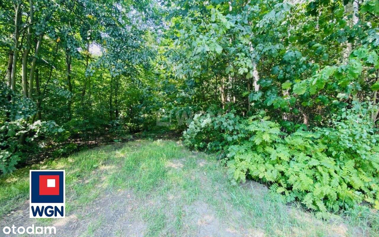 Klimatyczna działka przy lesie Kazimierz Górniczy-15