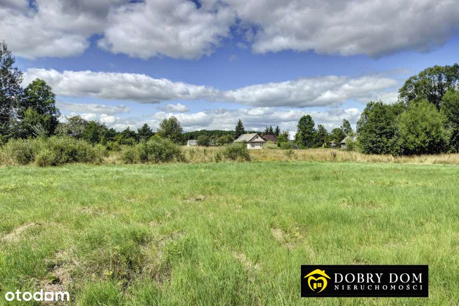 *Działka w Białowieży z  warunkami  zabudowy * - Pełny obrazek: 5/5