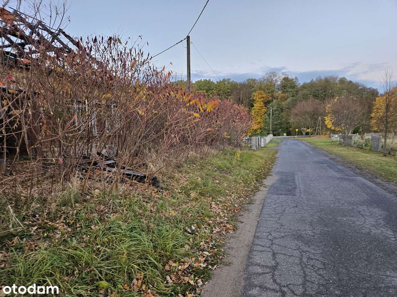 Działka 13 arowa - Stara Rudna.-11