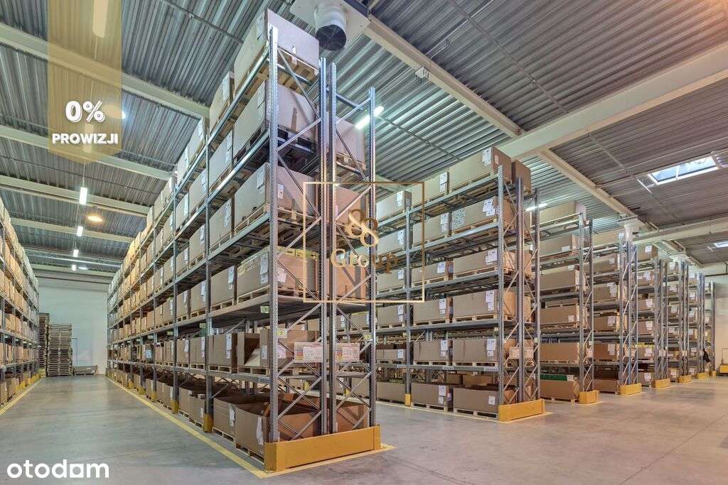 Magazyn 490m2 + 48m2 biura. Włochy - Pełny obrazek: 2/6