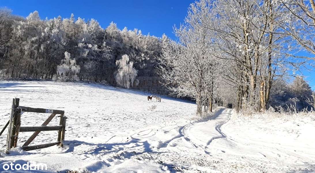 Duża działka budowlano-inwestycyjna/Góry Sowie!-10
