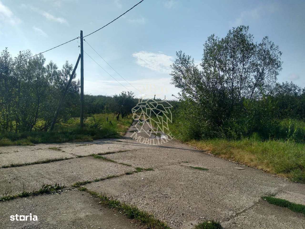 Teren 1500 mp - pretabil cabana/investitie - Zona Valea Rusului - Imagine principală: 3/4