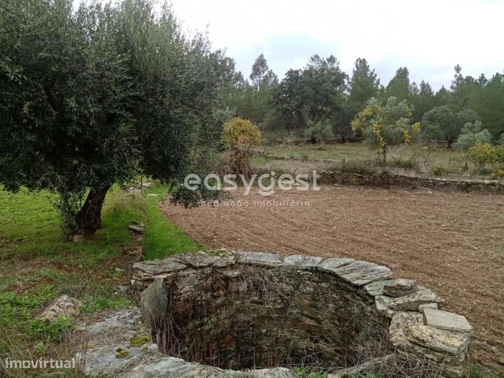 Terreno Rústico no centro das Benquerenças com bom acesso - Grande imagem: 2/11