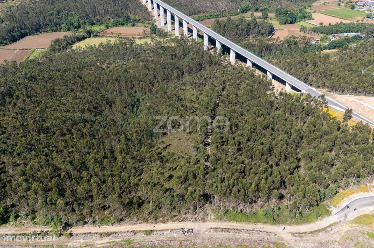 Terreno rústico - 35.600m2 - Cedões - Trofa - Grande imagem: 3/15